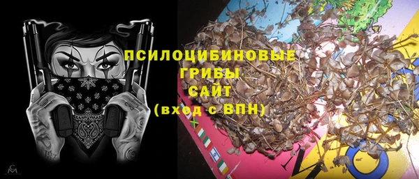 спиды Арсеньев