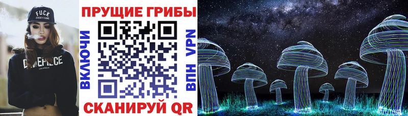 Псилоцибиновые грибы MAGIC MUSHROOMS  Купить где  Краснодар 