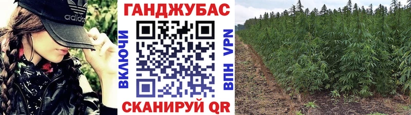 Каннабис THC 21%  Купить закладки  Краснодар 